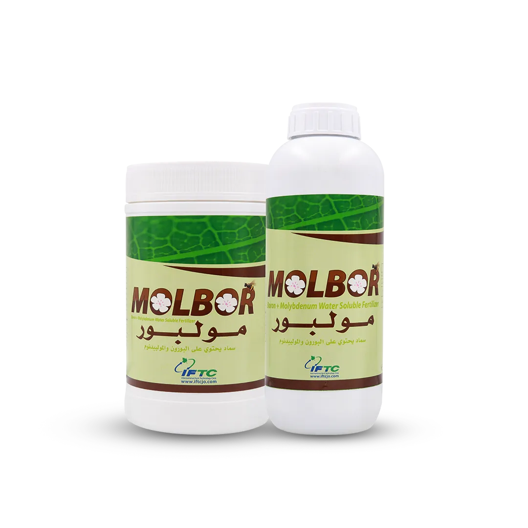 مولبور  Mol Bor